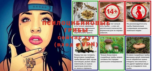 тгк Баксан