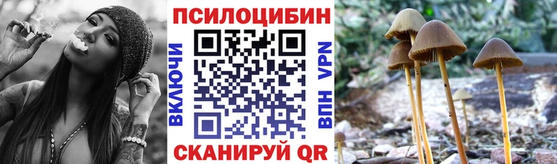 Псилоцибиновые грибы мухоморы  купить   Кодинск 